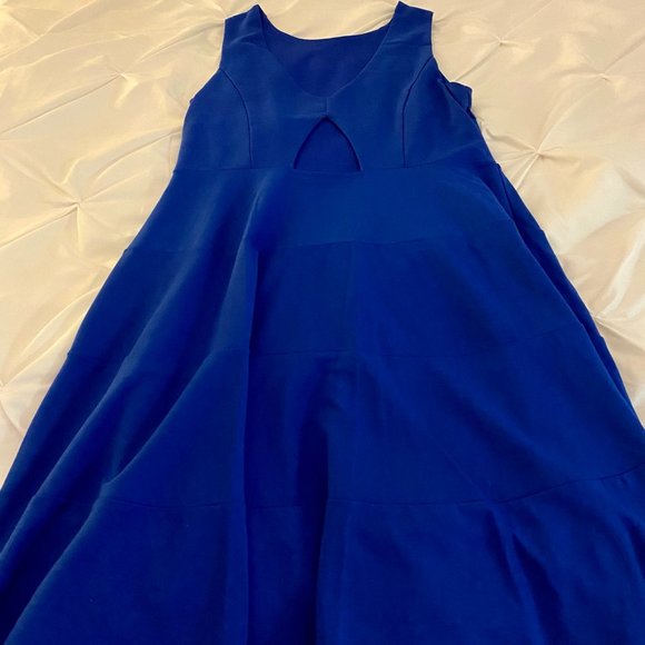 NEW WITHOUT TAGS Bianca Back Cutout Fit And Flare Blue Dress Size XL - Picture 6 of 9
